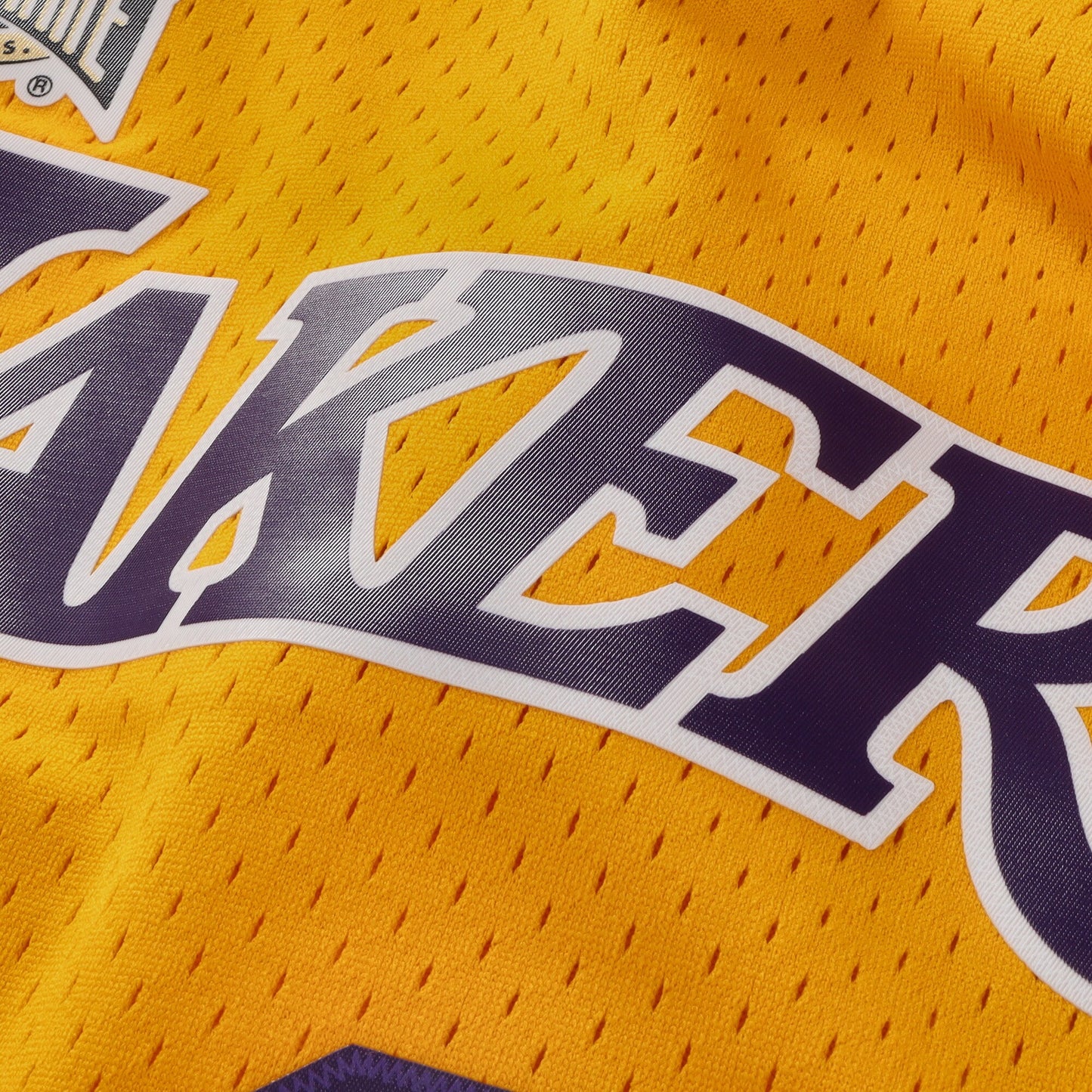 Los Angeles Lakers Mitchell & Ness HOF Swingman Jersey Pau Gasol