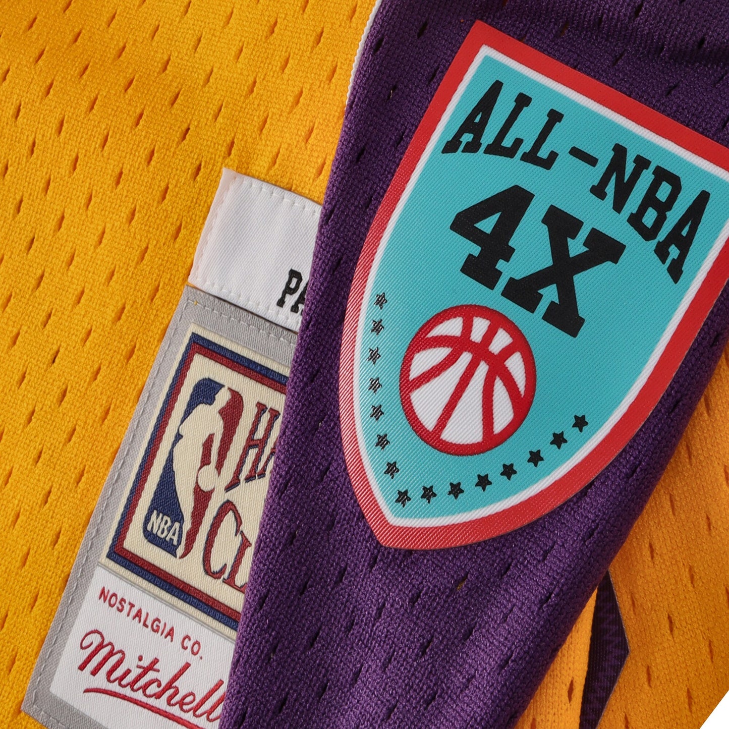 Los Angeles Lakers Mitchell & Ness HOF Swingman Jersey Pau Gasol