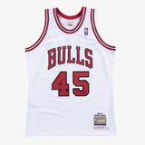 Chicago Bulls Mitchell & Ness Authentic Jersey Michael Jordan 1994-95
