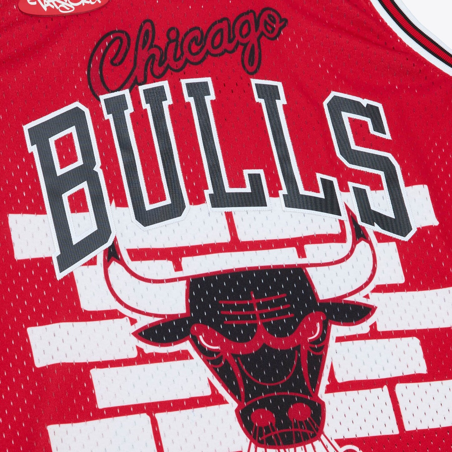 Chicago Bulls Mitchell & Ness x Tats Cru Jersey