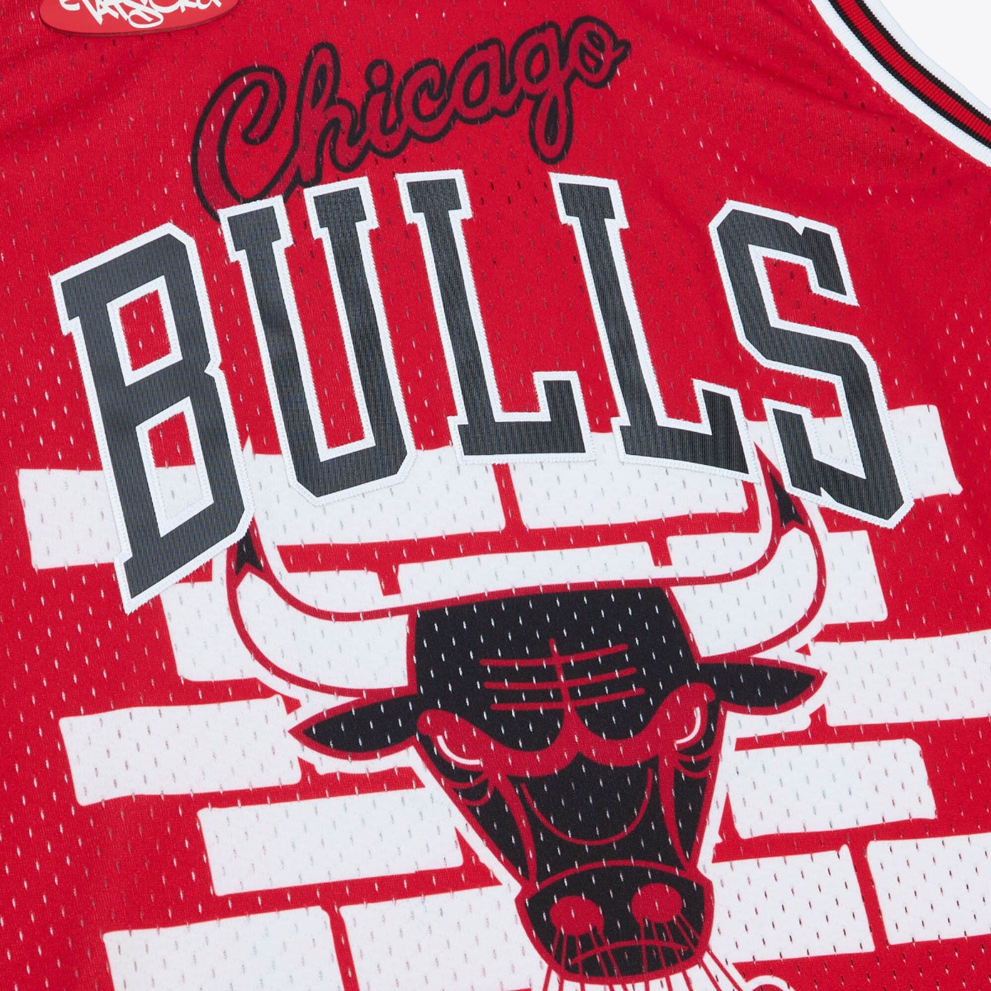 Chicago Bulls Mitchell & Ness x Tats Cru Jersey